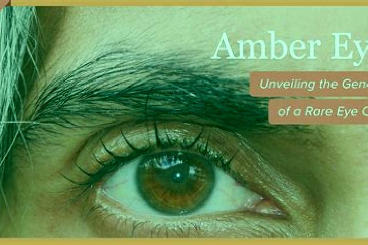 4-Line Face The Ace slot machine
