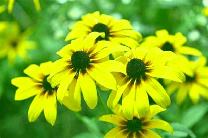 Age of Egypt slot game