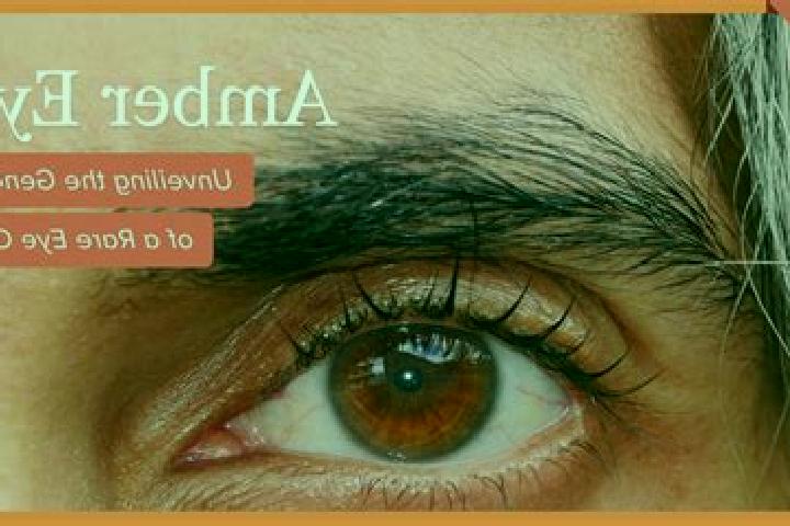 Aladdin and The Magic Carpet slot game