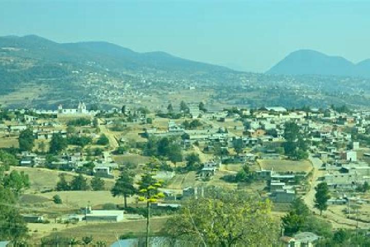 American Roulette (Platipus) slot machine