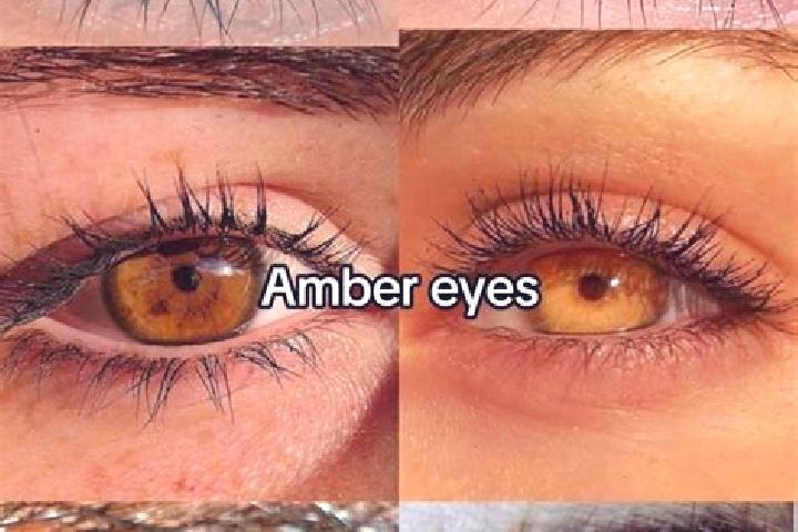 Bananas (NetGame) slot machine