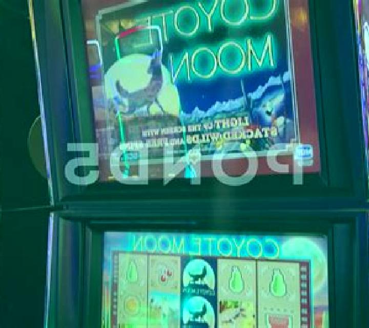 Barbaria slot game