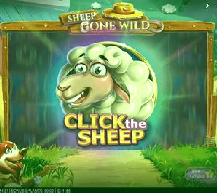 Chicken Burst Extra slot