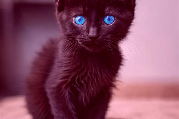 Goldmine Megatracks online slot