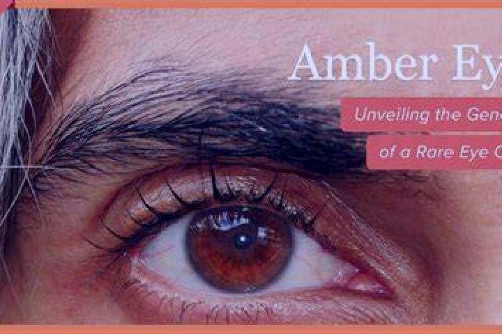 Hot Stars (Fazi) online slot