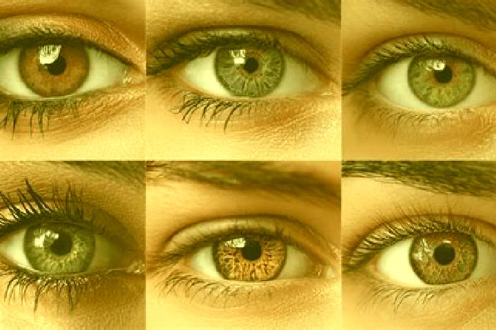 Madame Fortune (High 5 Games) slot machine