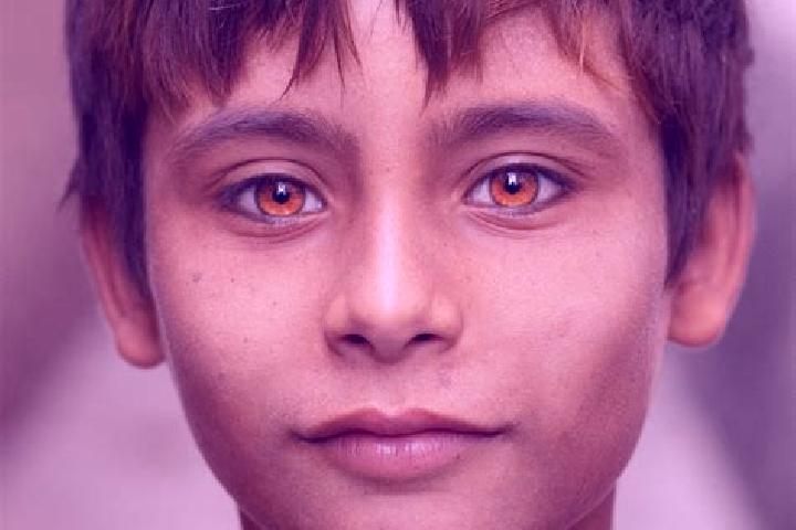 Monkey (PlayStar) slot game