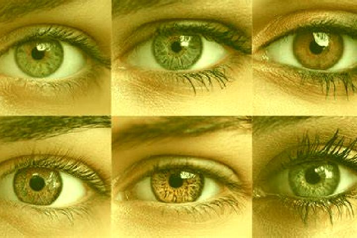 Mr Xin slot