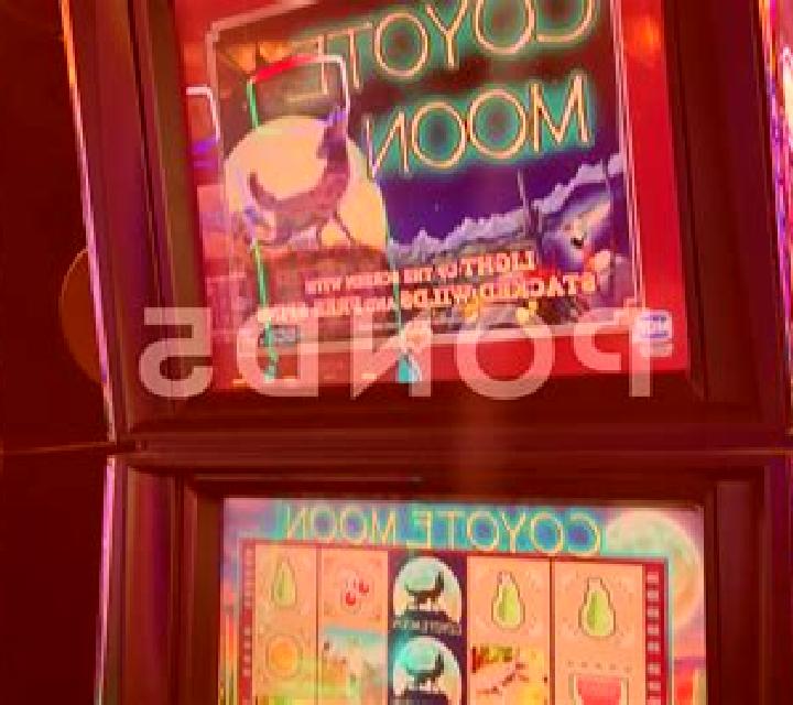 Net Gains slot machine
