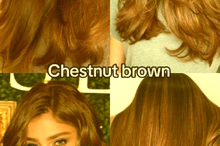 Playlive Fortune slot
