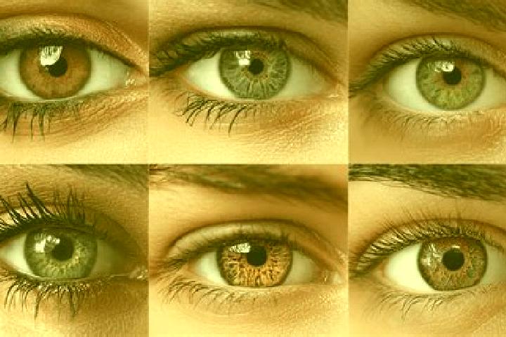 Release the Kraken (Pragmatic Play) slot