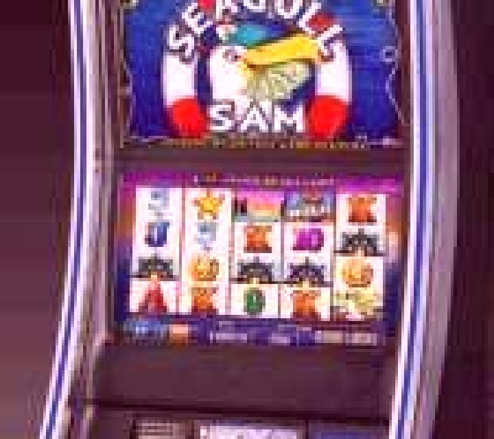 Seagull slot machine
