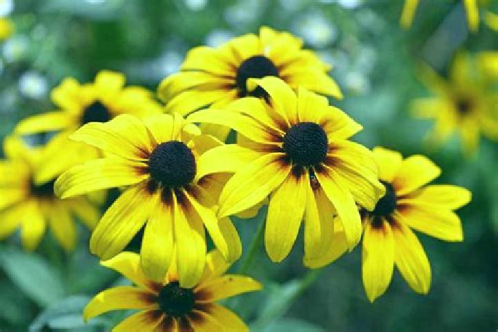 Summer Holiday slot