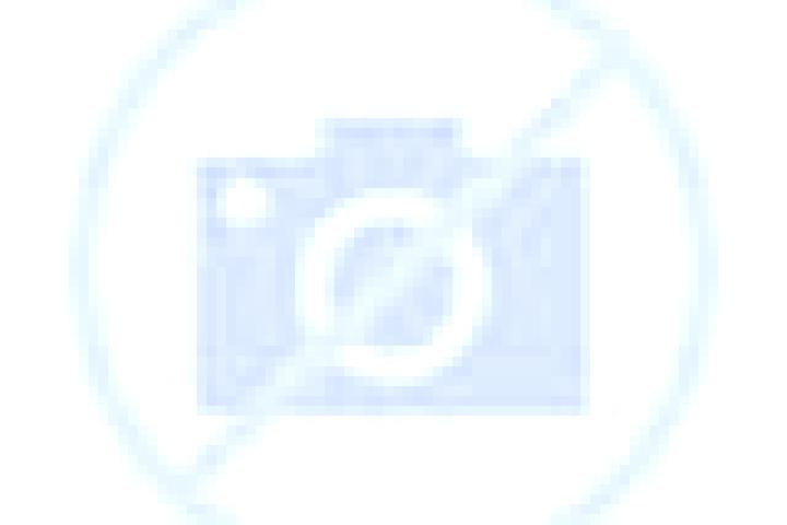 Thunder Coins XXL: Multicoin slot