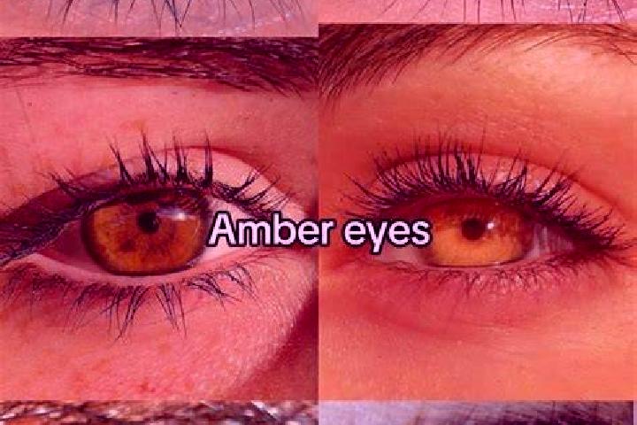 Triple Royal Wilds slot