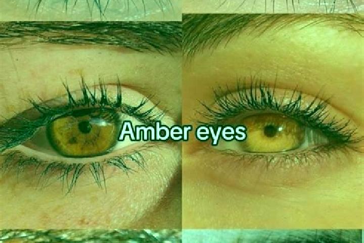 Trolls slot game