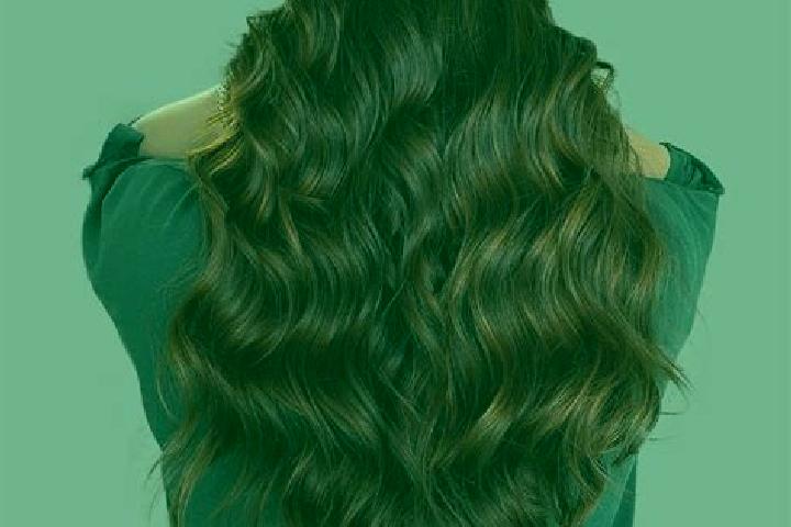 Trout s Treasure - Frosty Fins slot machine