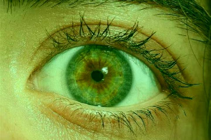 Wheel of Fortune (Atlas-V) slot