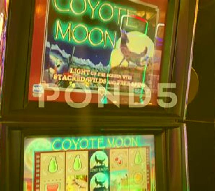 Win Win Neko (Nextspin) slot machine